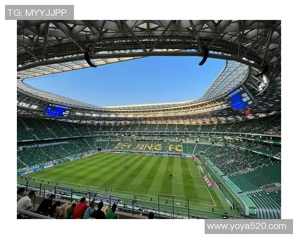 哈字足球明星的传奇故事与他们在绿茵场上的辉煌成就分析