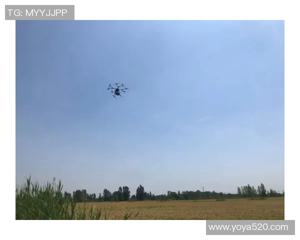 如何简单易懂地绘制足球明星卡卡的肖像步骤解析