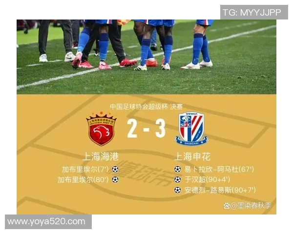 中国足球明星数量最多的城市揭晓背后的故事与发展潜力分析